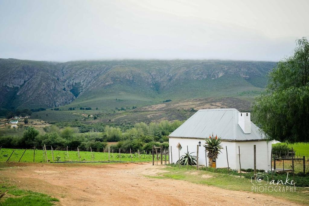 Swartberg Country Manor Pensionat Matjiesrivier  Eksteriør billede