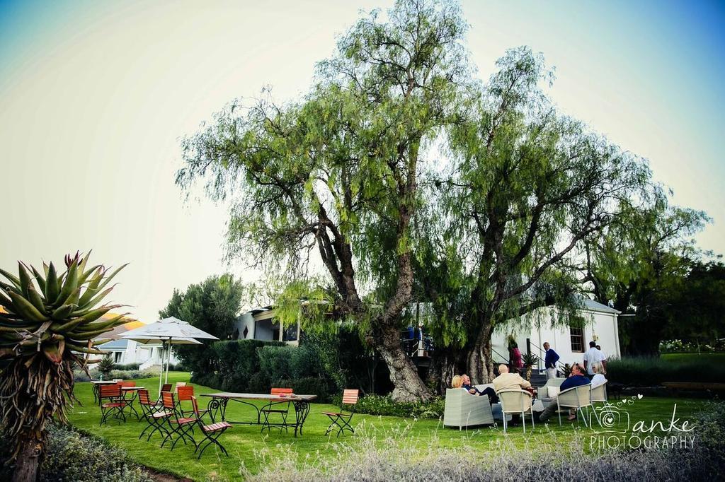 Swartberg Country Manor Pensionat Matjiesrivier  Eksteriør billede
